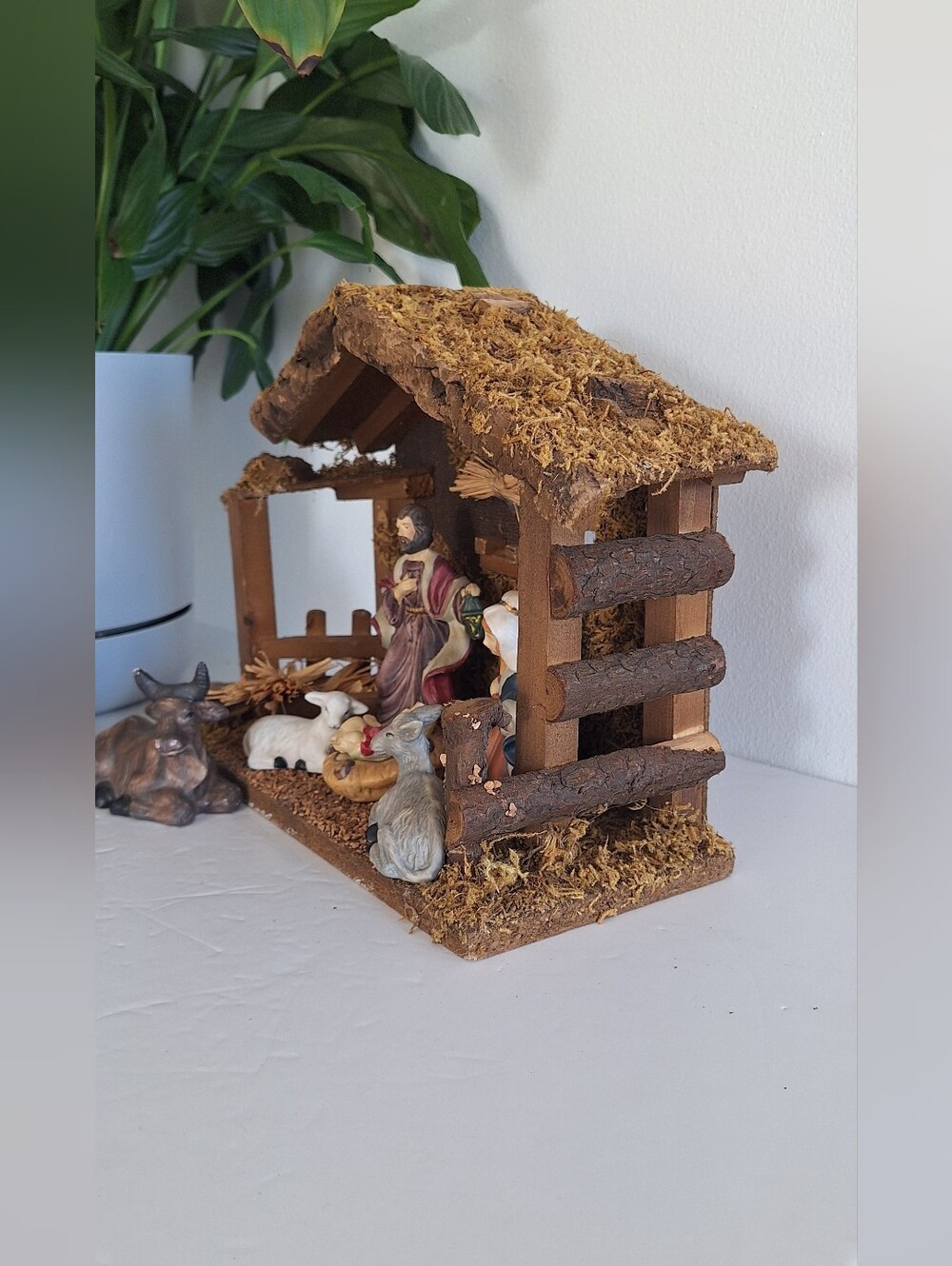 Nativity Scene - Picture 4 of 17